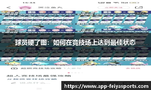 飞亚体育APP