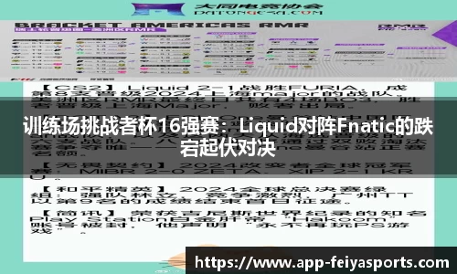 训练场挑战者杯16强赛：Liquid对阵Fnatic的跌宕起伏对决